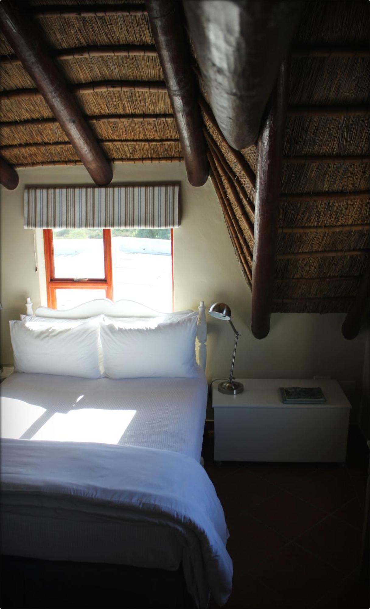 Klokkiebosch Guesthouse Jacobs Bay Rum bild